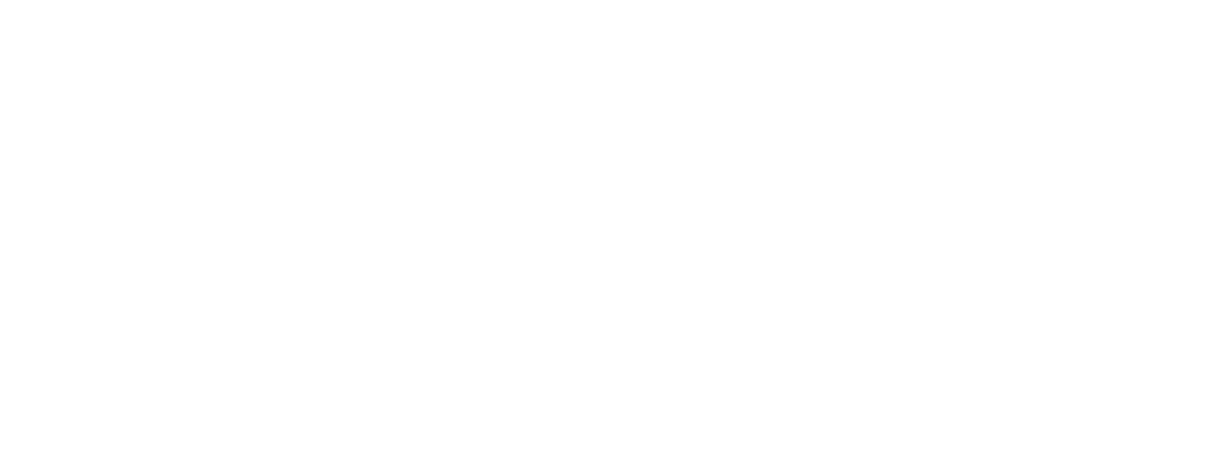 Andry foundation - Logo andry foundation blanc simple trait